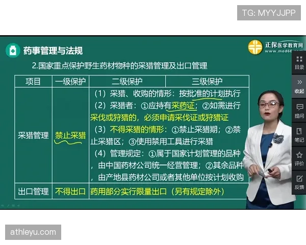 视频回放判罚规则如何理解与适用要点全面详解